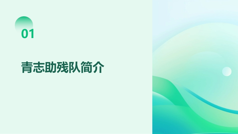 青志助残队工作总结_第3页