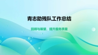青志助残队工作总结
