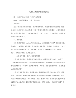 村级三资清理自查报告