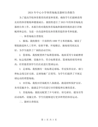 2024年中心小学体育场地及器材自查报告