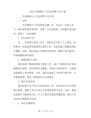 2024年镇统计工作总结暨工作计划 