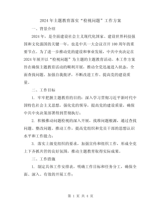 2024年主题教育落实“检视问题”工作方案