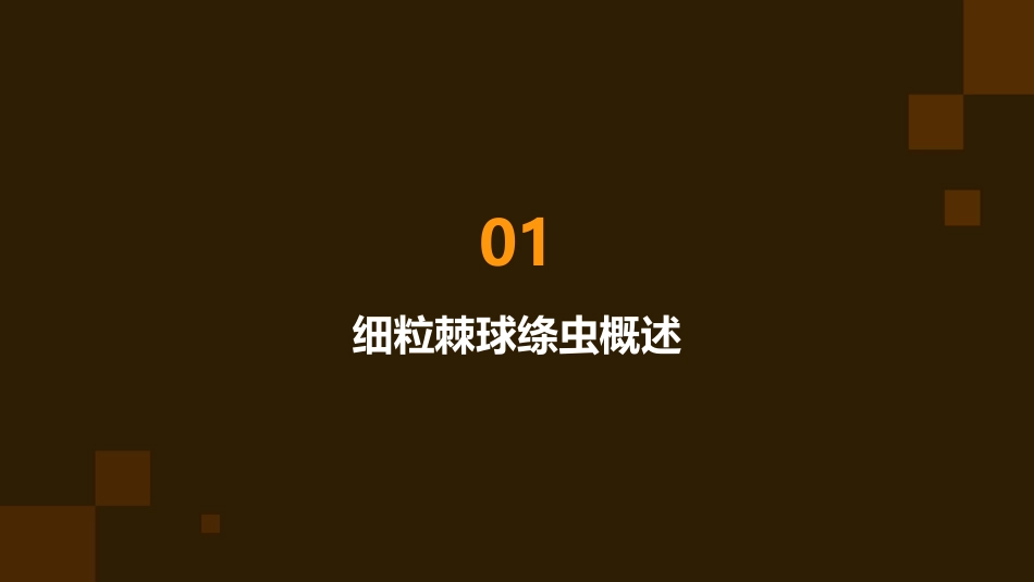 人卫版人体寄生虫学细粒棘球绦虫教学护理课件_第3页