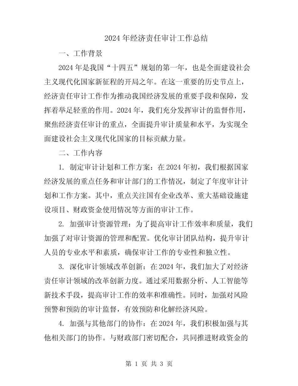 2024年经济责任审计工作总结_第1页
