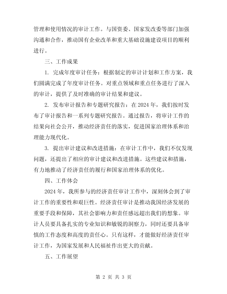 2024年经济责任审计工作总结_第2页