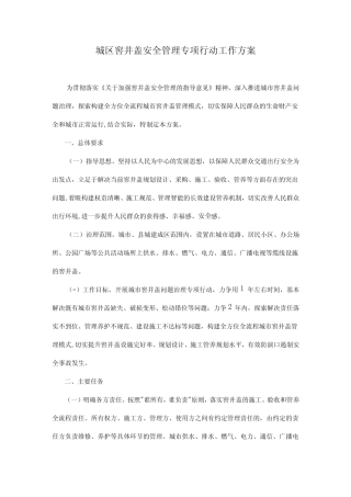 城区窨井盖安全管理专项行动工作方案 