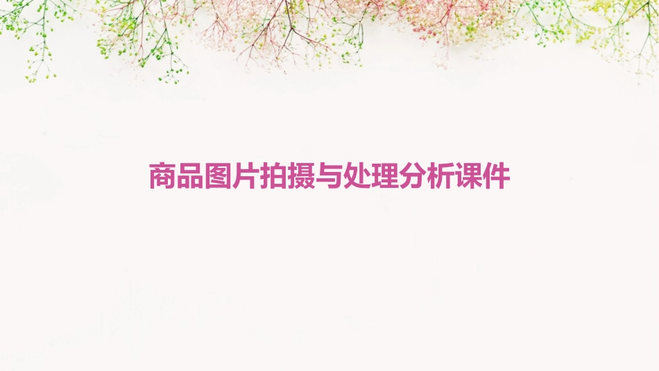 商品图片拍摄与处理分析课件_第1页