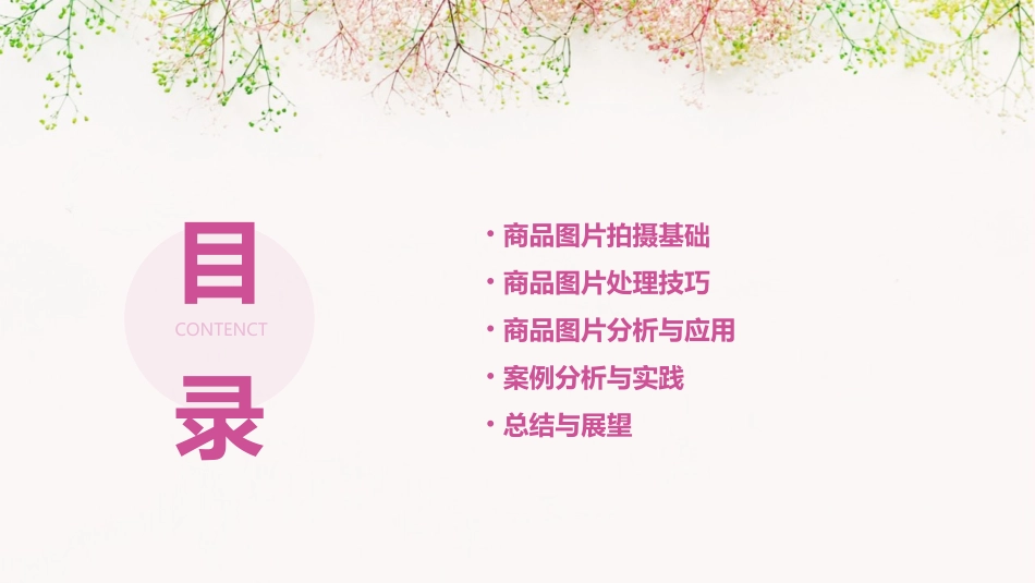 商品图片拍摄与处理分析课件_第2页