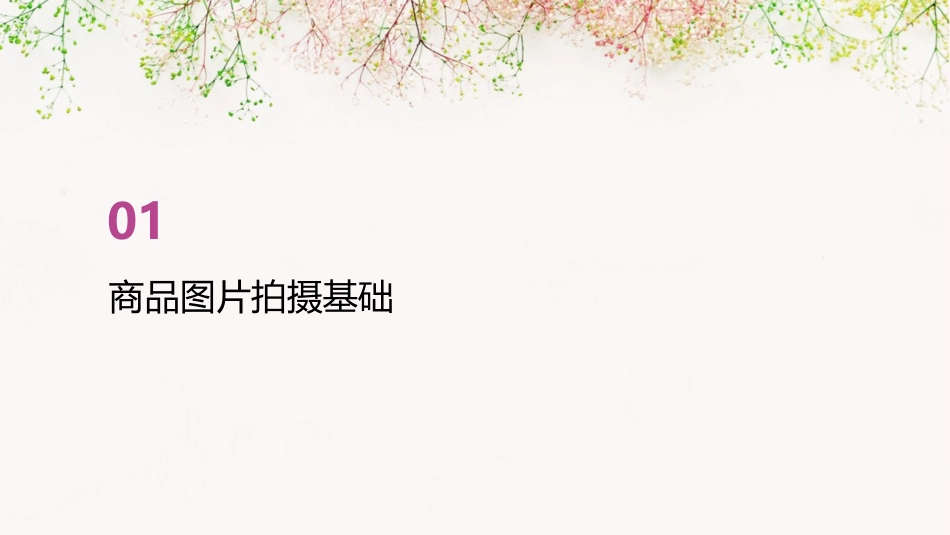 商品图片拍摄与处理分析课件_第3页