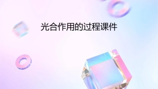 光合作用的过程课件1