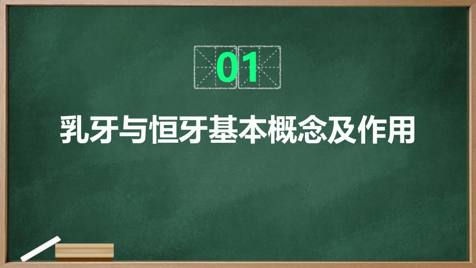 儿童口腔护理知识之乳牙与恒牙的生长发育_第3页