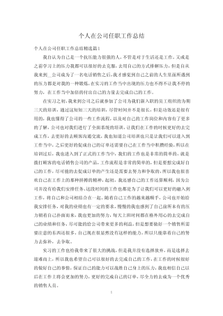 个人在公司任职工作总结