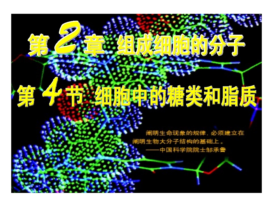 2章4节细胞中的糖类和脂质_第1页