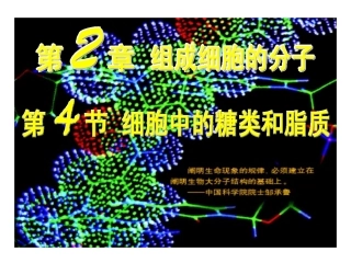 2章4节细胞中的糖类和脂质