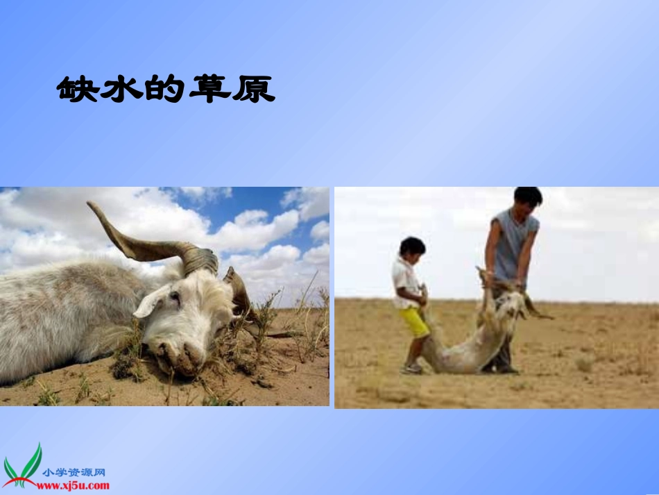 苏教版小学科学三年级上册《地球上的水》课件_第3页