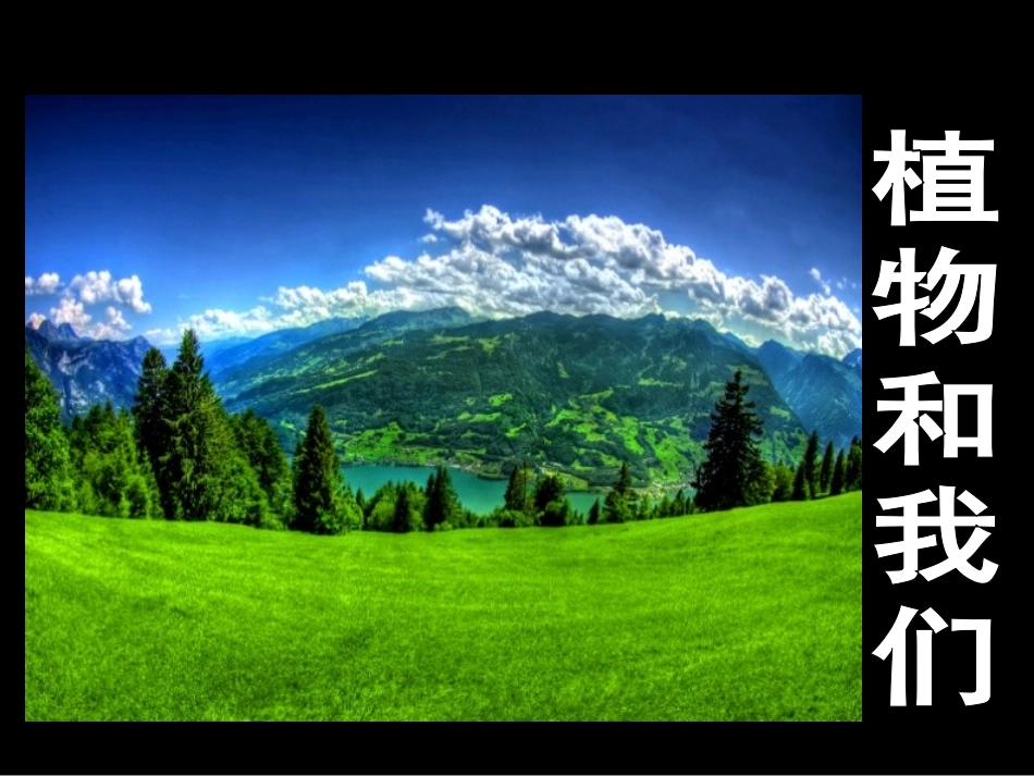 苏教版植物和我们_第1页