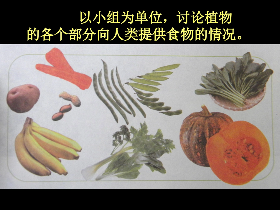 苏教版植物和我们_第3页