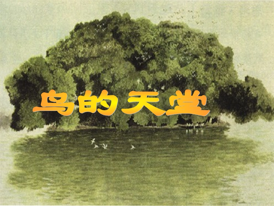 3鸟的天堂 (3)_第1页