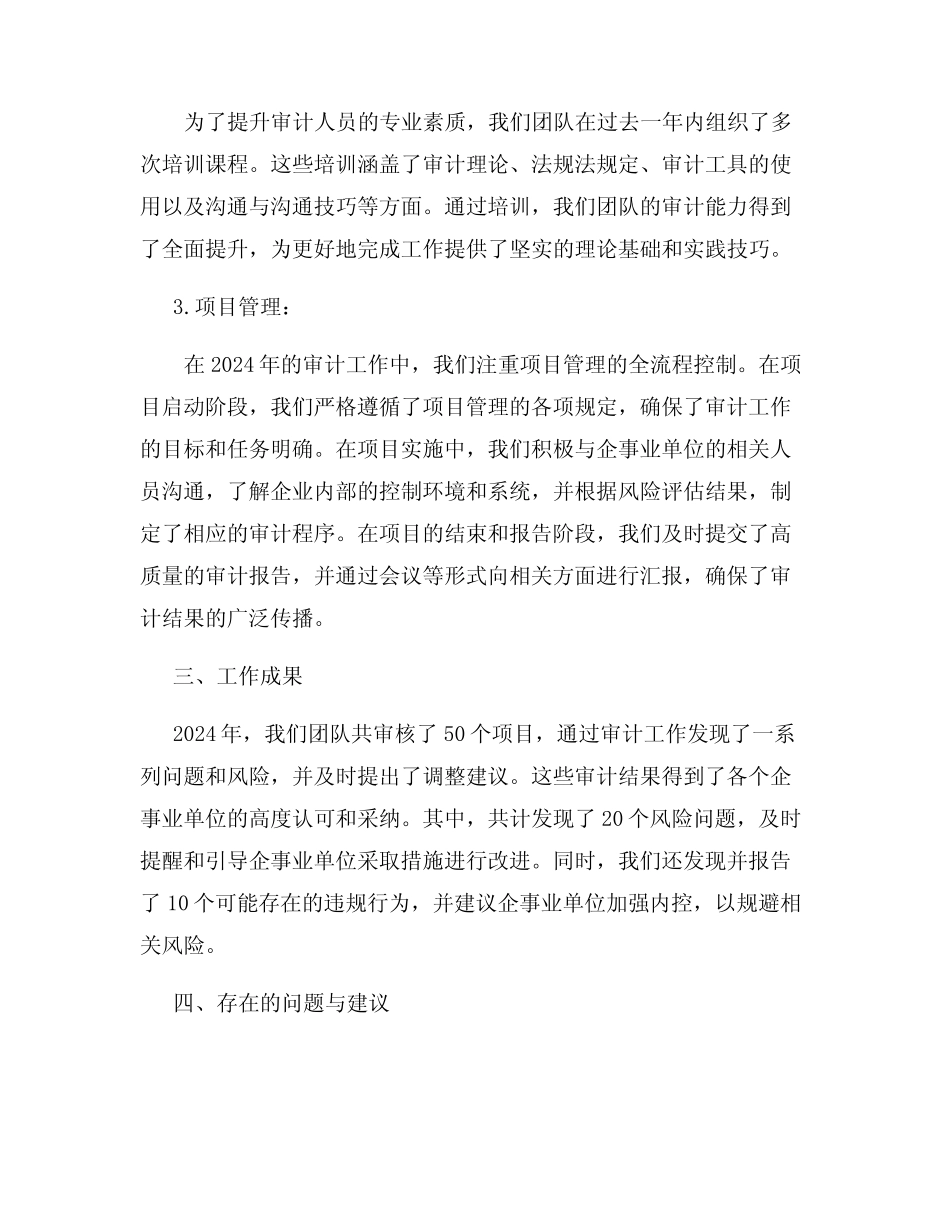 2024审计年度工作总结报告_第2页