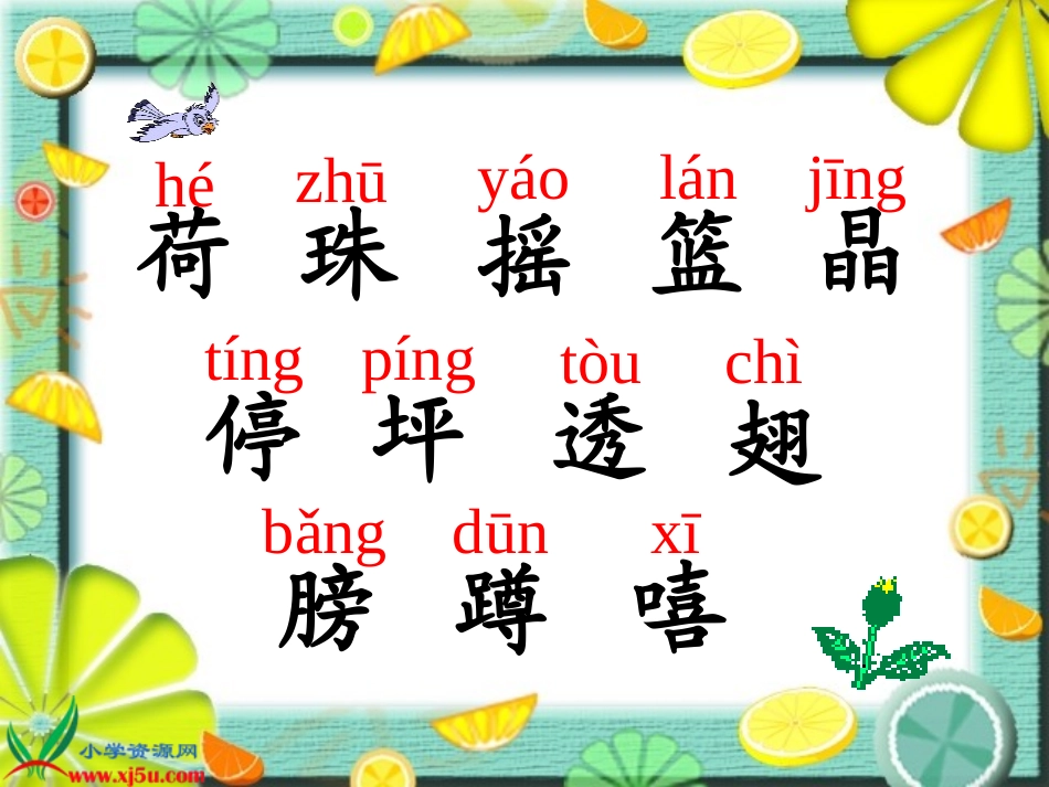 荷叶圆圆1120_第2页