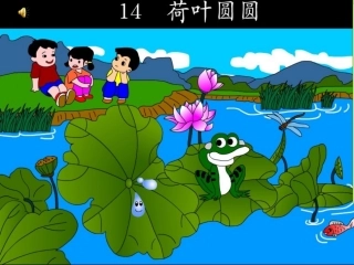 荷叶圆圆1120