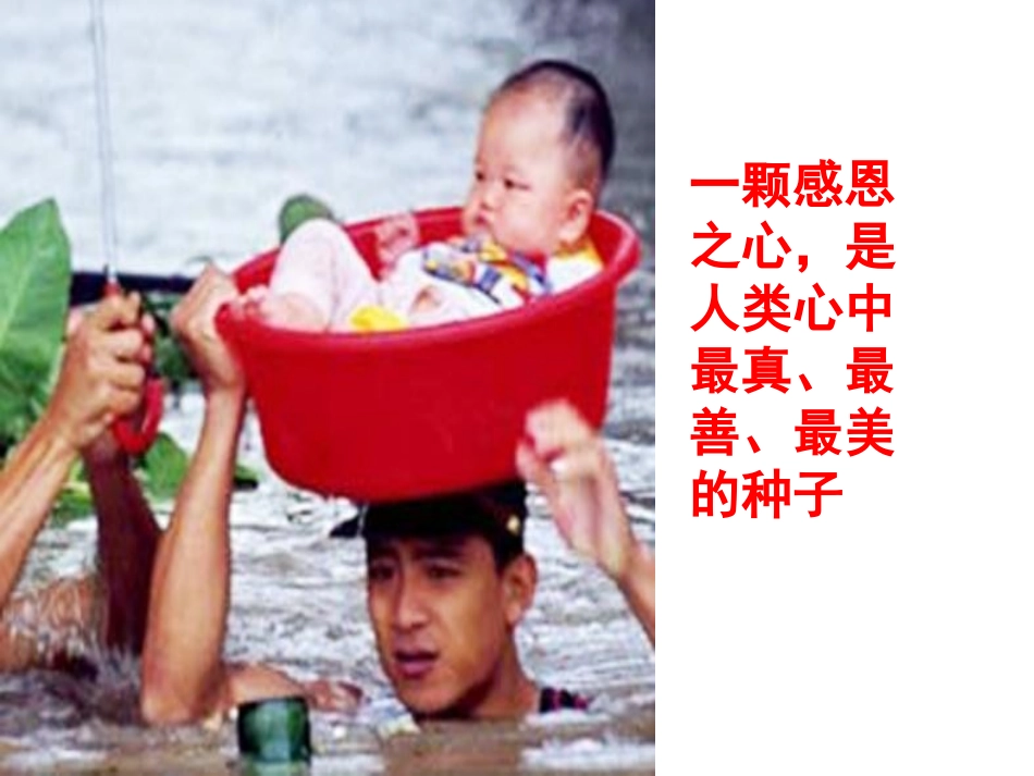 感恩的心+马娟_第2页