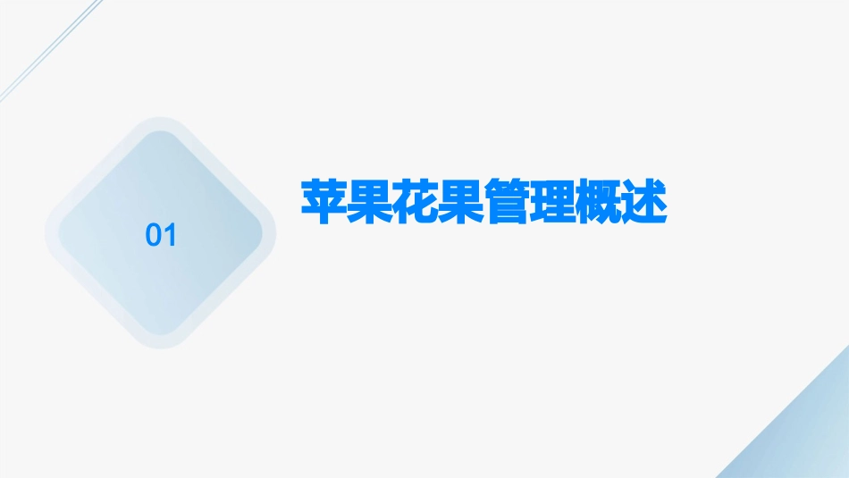 苹果花果管理技术课件_第3页