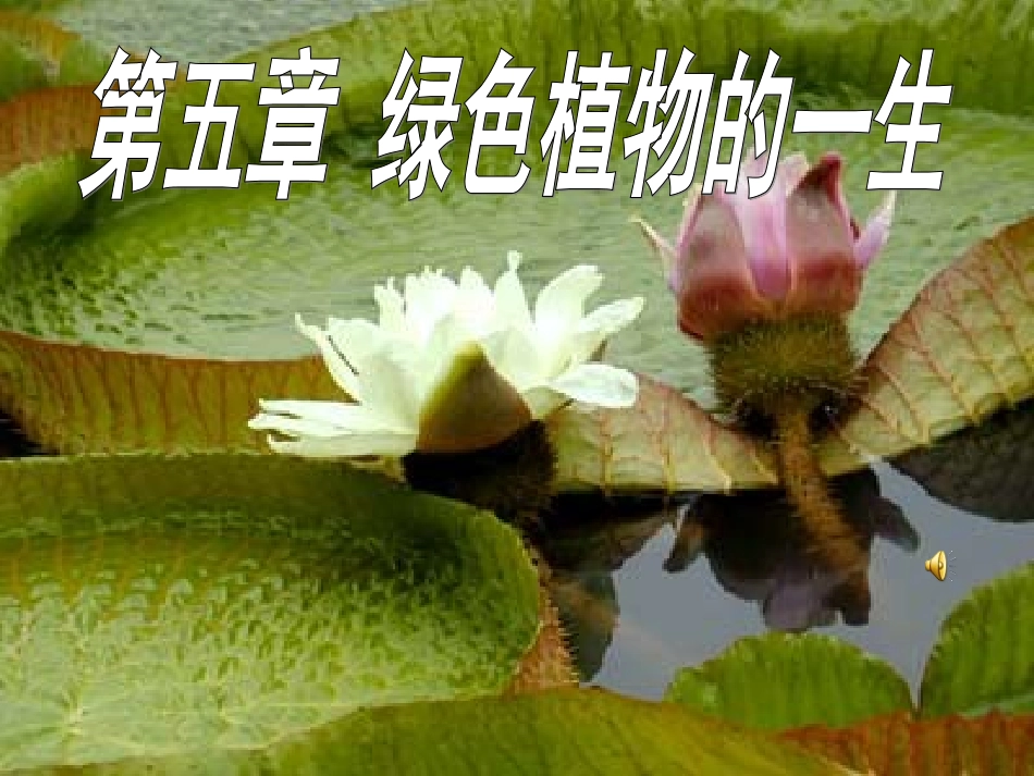 第一节植物种子的萌发_第1页