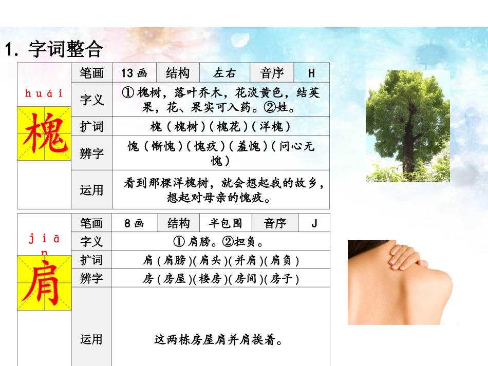 21槐香五月_第3页