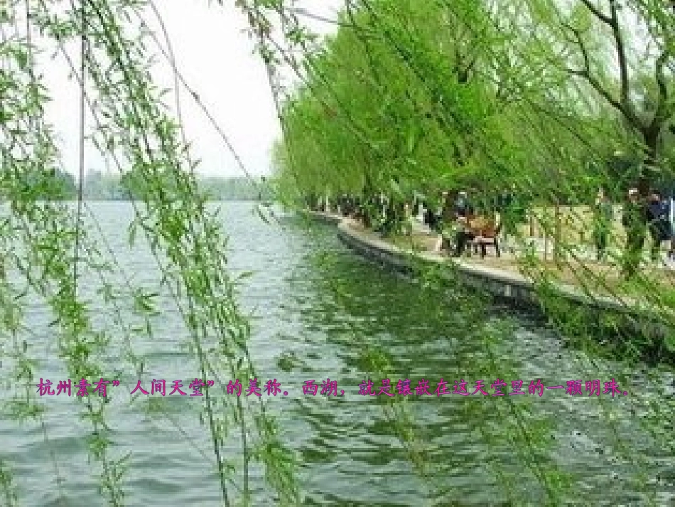 西湖_课件15_第3页