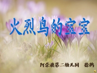 火烈鸟的宝宝