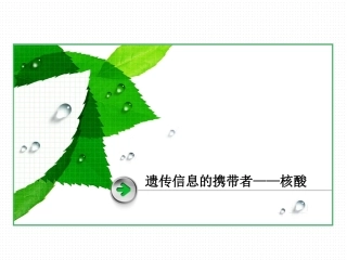遗传信息的携带者——核酸 (3)