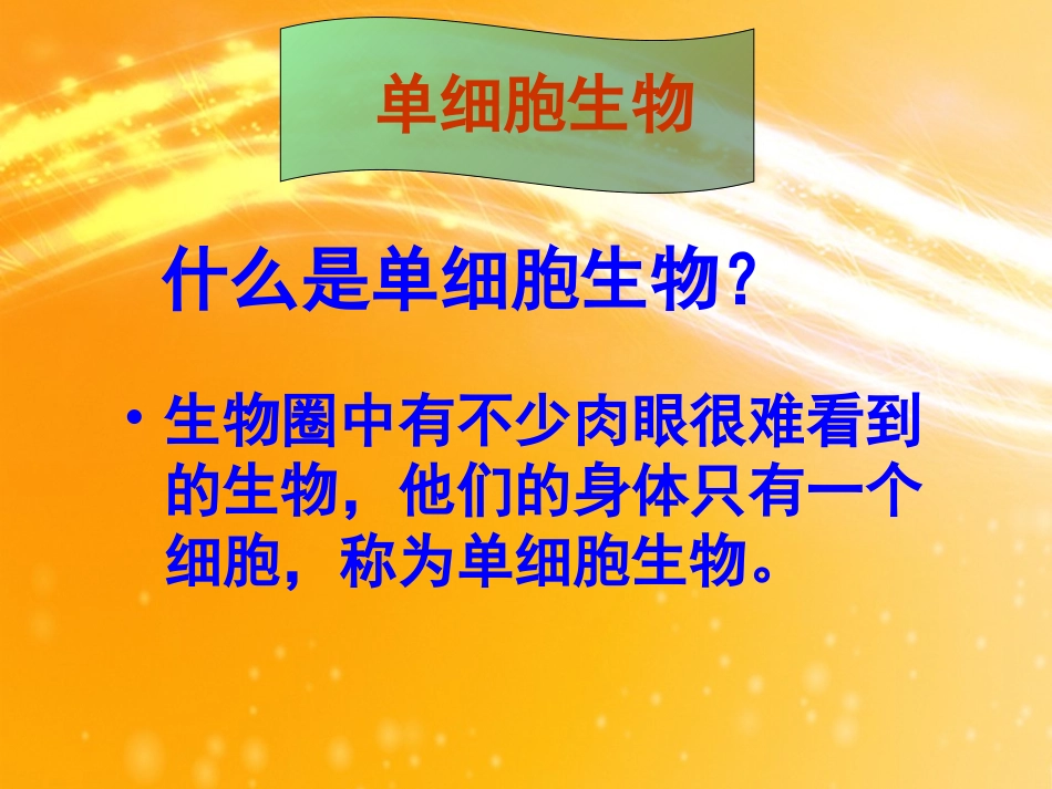 第四节单细胞生物_第3页