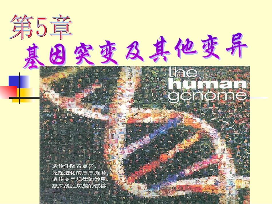 第一节基因重组和基因变异2_第1页