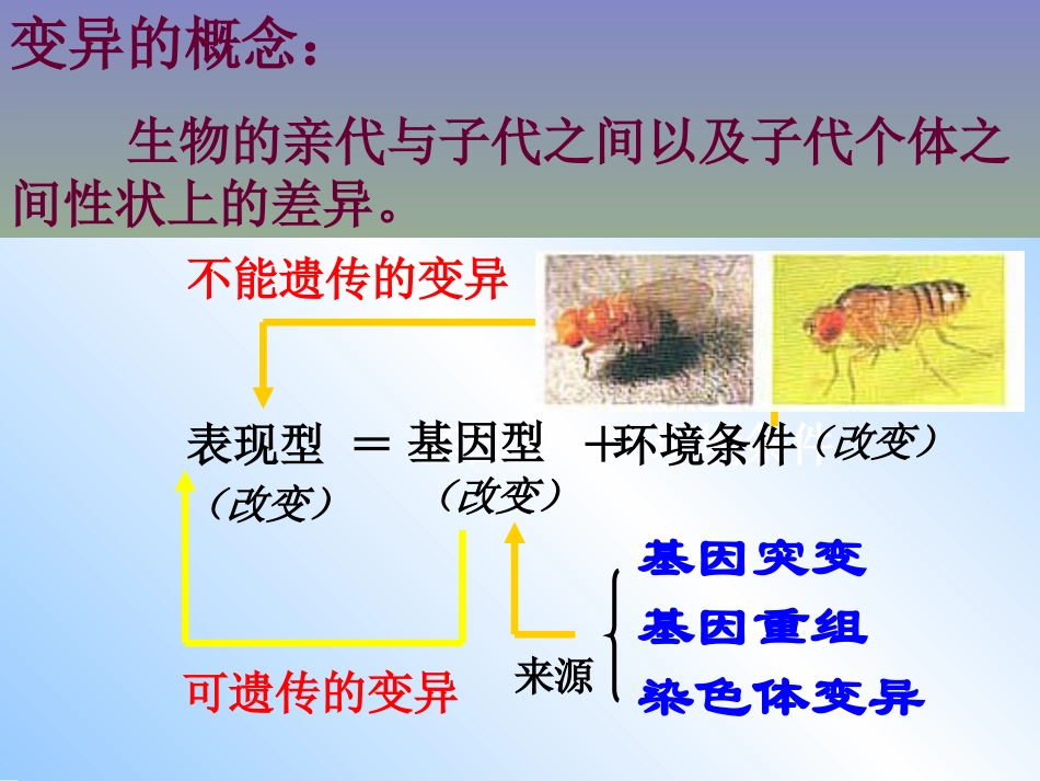 第一节基因重组和基因变异2_第2页