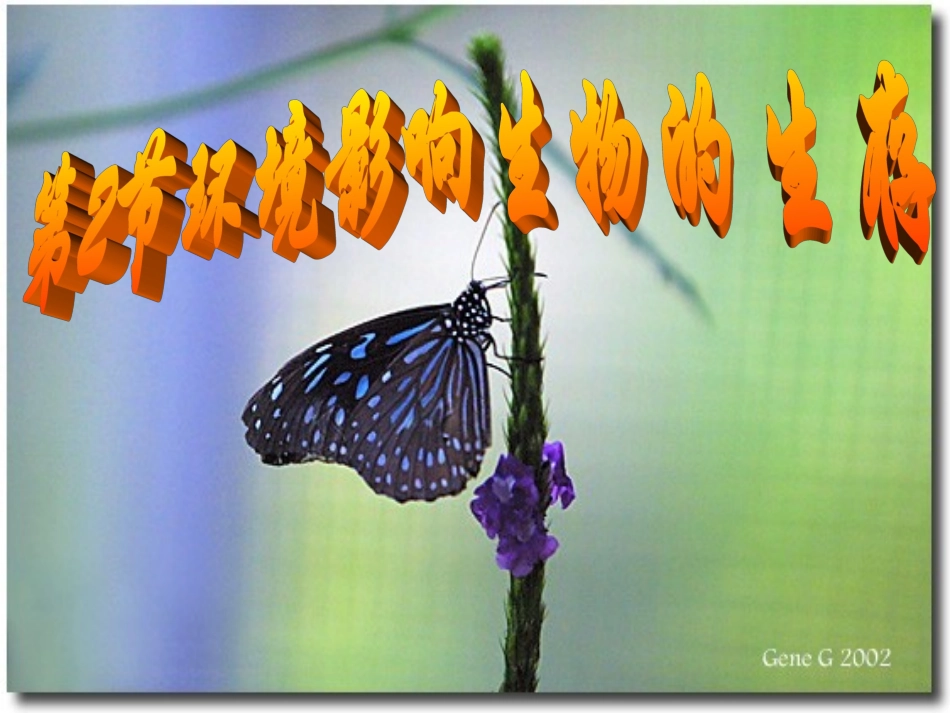 1、1、2环境影响生物的生存_第1页