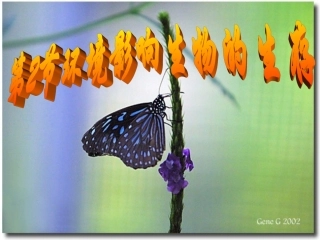 1、1、2环境影响生物的生存