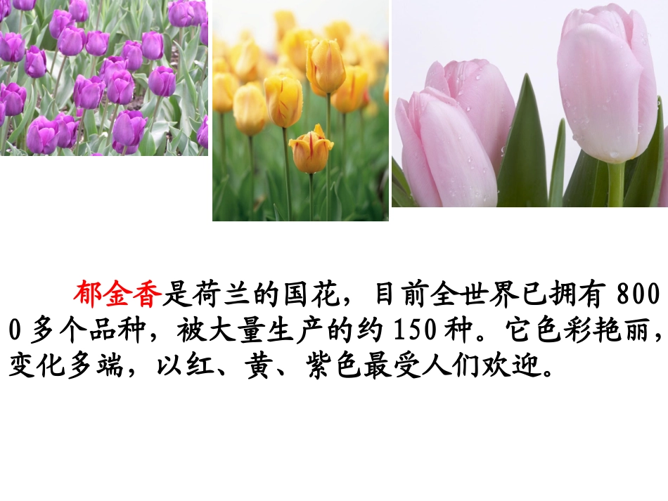 苏教三下练习7_第2页