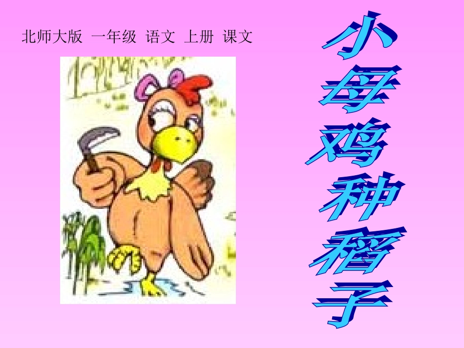 第二课《小母鸡种稻子》课件5_第2页
