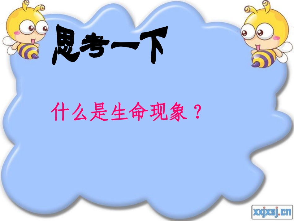 美丽的生命课件2_第2页