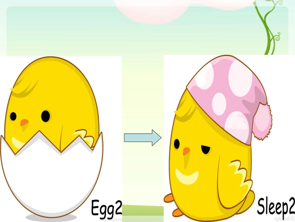 美丽的生命课件2_第3页