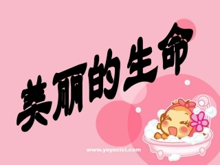 美丽的生命课件2