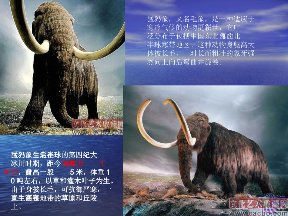 化石吟 (2)_第2页