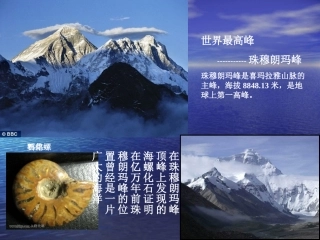 化石吟 (2)