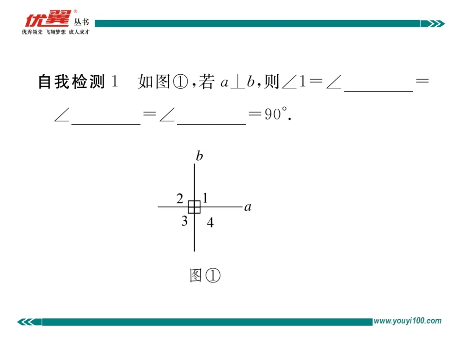 45第1课时垂线 (2)_第3页