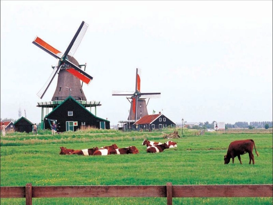 牧场之国课件 (2)_第2页