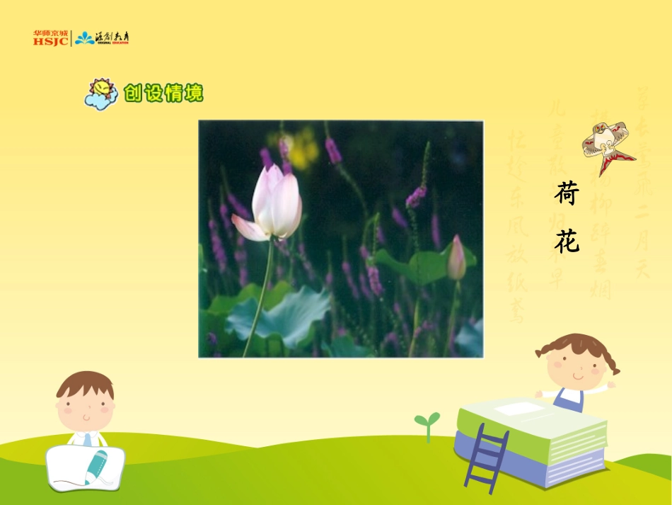 荷花课件修改_第3页