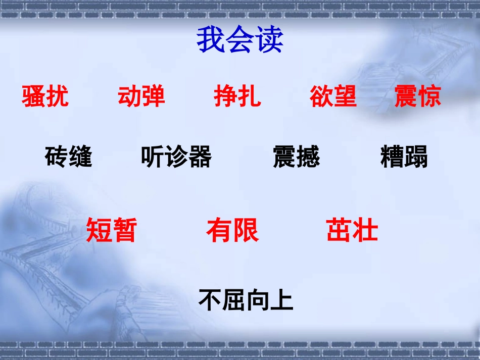 19生命生命教学PPT课件_第2页