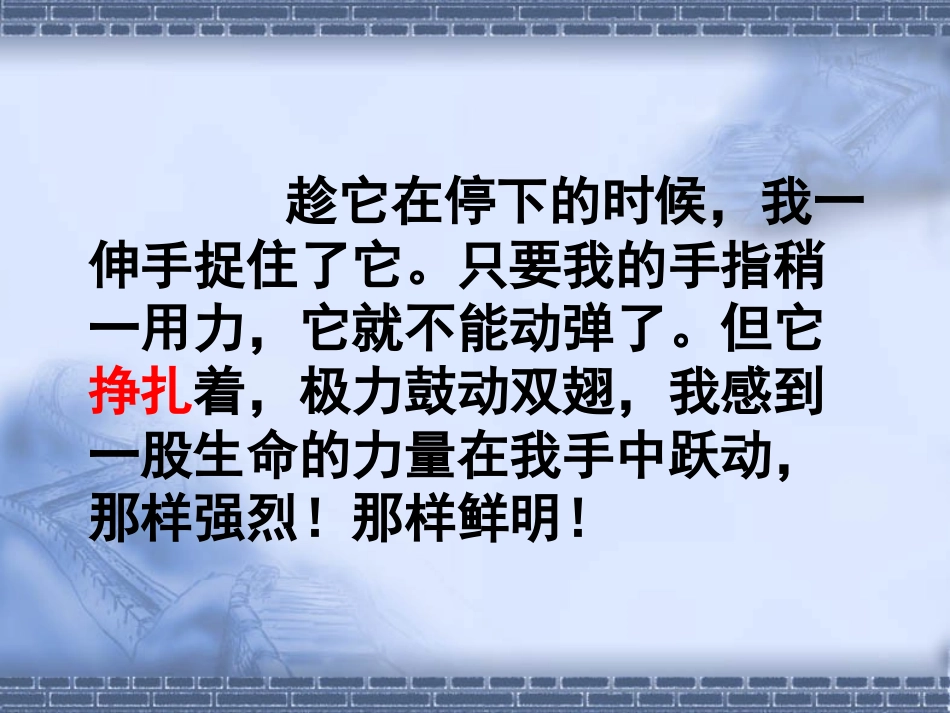 19生命生命教学PPT课件_第3页