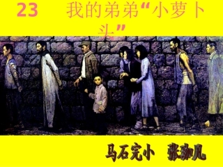 课件我的弟弟小萝卜头